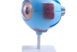 713627.png