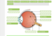 pol_pm_Biologia-Multimedialne-Pracownie-Przedmiotowe-19179_1.png