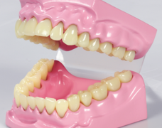 Product 1535 Image