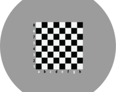 713412_007_2_szachy_170x170.png