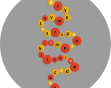 713381_gk_008_Abecad┼éo_Korale_B_180x480.png