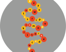 713421_011_2_Abecad┼éo_Korale_B_240x550.png