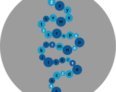 713422_011_3_Abecad┼éo_Korale_C_240x550.png