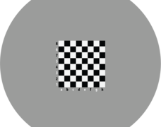 713411_007_1_warcaby_100x100.png