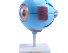 713627.png