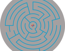 714031_035_Labirynt_kolowy_duzy_510x510.png