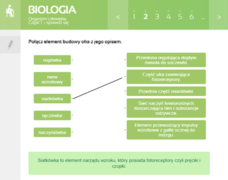 pol_pm_Biologia-Multimedialne-Pracownie-Przedmiotowe-19179_6.png