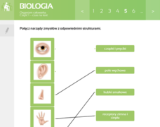 pol_pm_Biologia-Multimedialne-Pracownie-Przedmiotowe-19179_8.png
