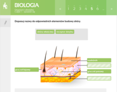 pol_pm_Biologia-Multimedialne-Pracownie-Przedmiotowe-19179_2.png