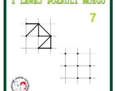 Product 4756 Image