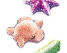 Product 4427 Image