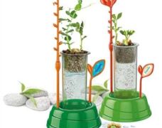 Product 4856 Image