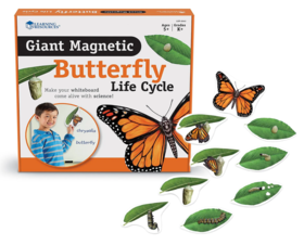 Magnetyczny cykl życia motyla LER6043 Learning Resources