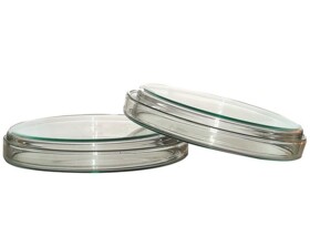 Szalka Petriego, Anumbra 100x15 mm