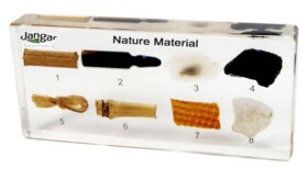 8 okazów zatopionych w tworzywie