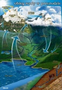 Obieg wody w przyrodzie - plansza dydaktyczna