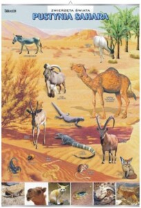 Pustynia Sahara - plansza dydaktyczna