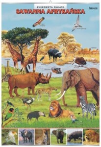 Sawanna afrykańska - plansza dydaktyczna