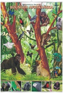 Dżungla afrykańska - plansza dydaktyczna