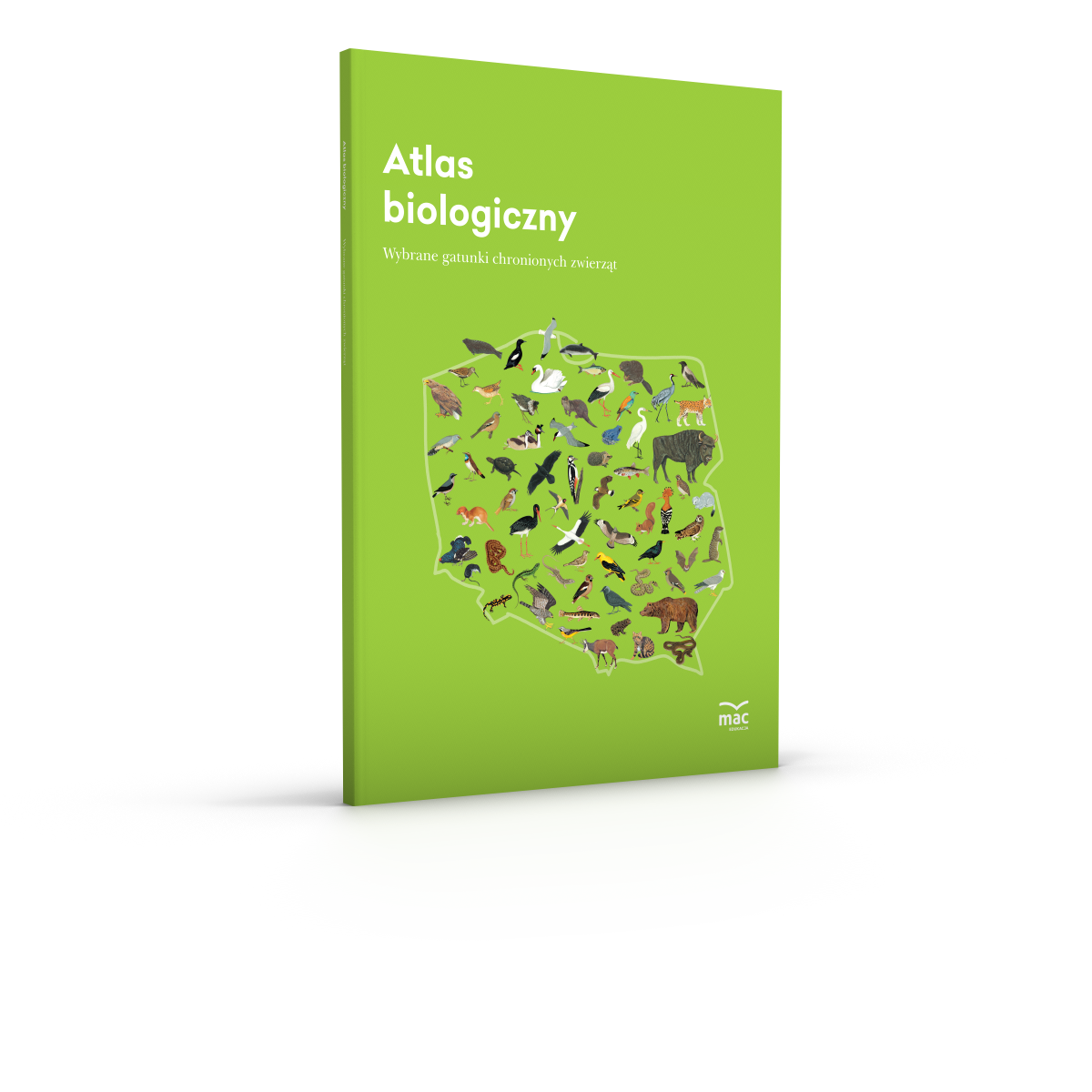 881347_Atlas biologiczny klasa 6_zwierzeta_okladka.png
