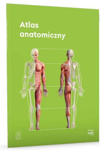 atlas_natomiczny.png