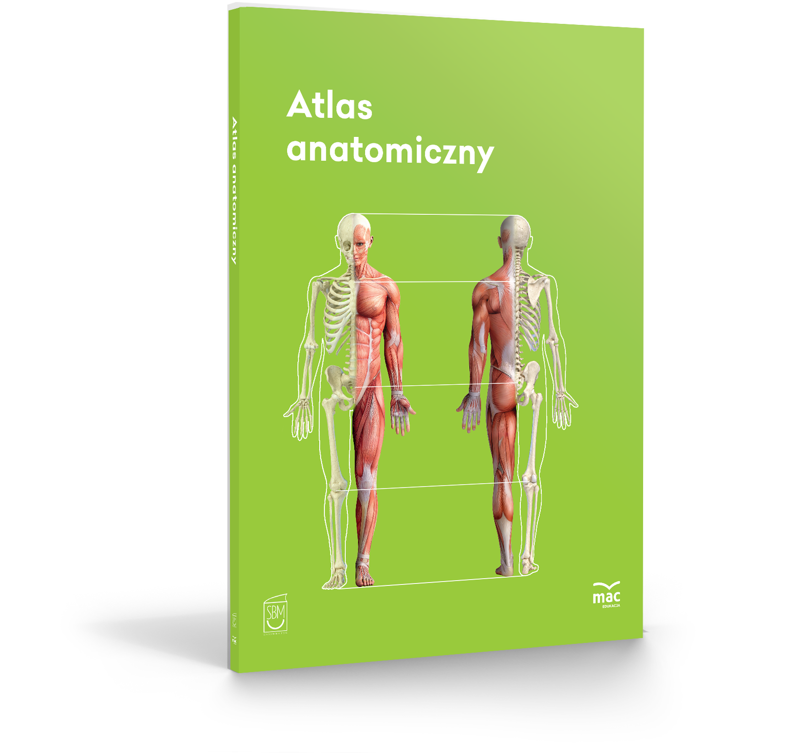 MOCKUP-atlas-2_anatomiczny.png